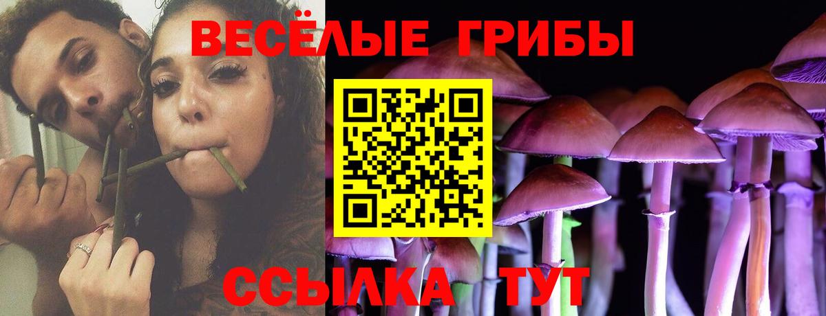 Галлюциногенные грибы Magic Shrooms Серпухов