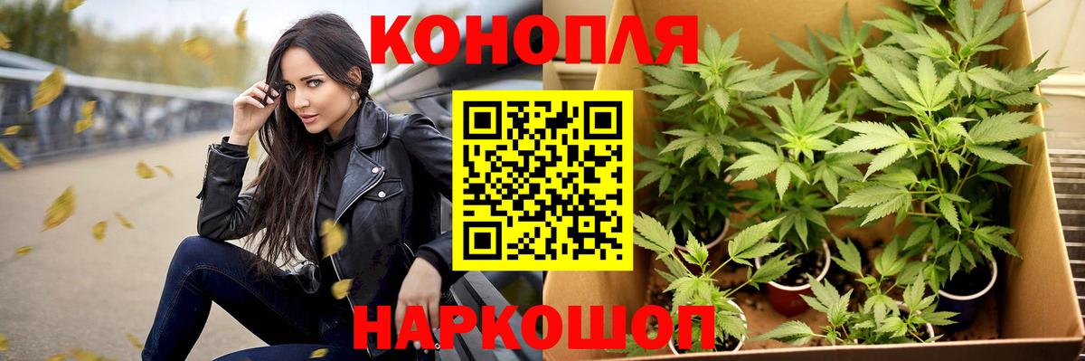 Шишки марихуана планчик Серпухов